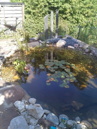Ein klarer Gartenteich mit Seerosen und Randpflanzen, umgeben von Steinen.